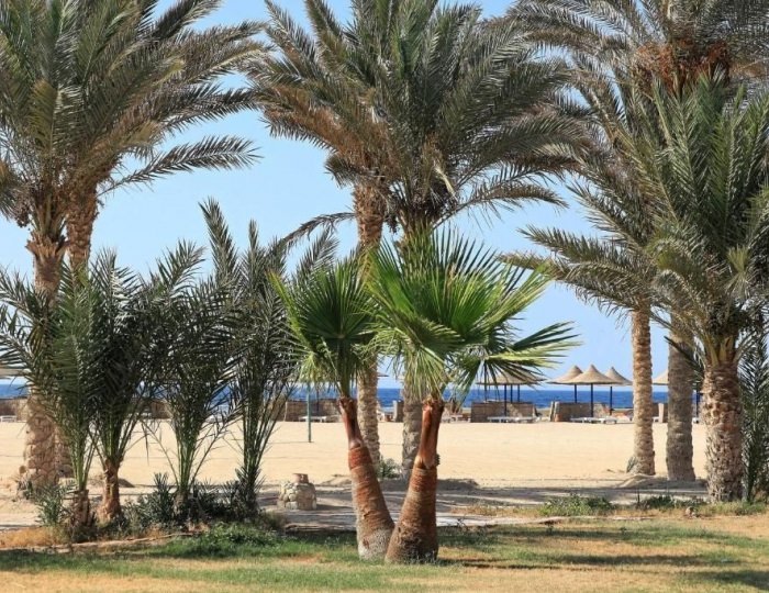 Pensée Beach Resort Marsa Alam operated by The Three Corners Hotels & Resorts 4 звезды, Эль-Кусейр, Египет