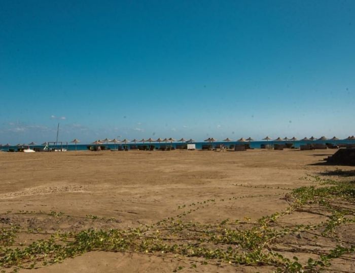 Shams Alam Beach Resort 4 звезды, Абу-Хусун, Египет