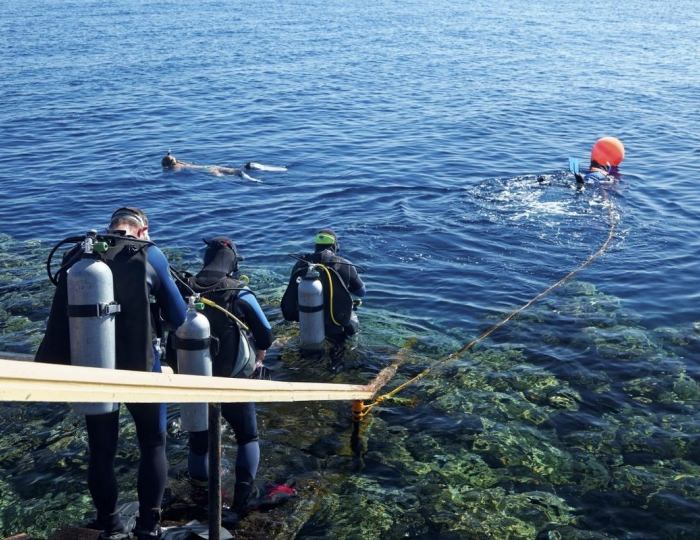 The Three Corners Fayrouz Plaza Beach Resort 5 звезд, Порт-Галиб, Египет