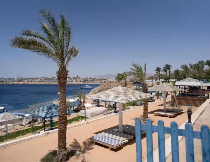 Grand Oasis Resort 4 звезды, Шарм-эль-Шейх, Египет