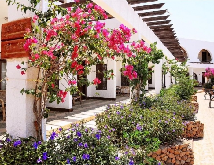 Aida Hotel Sharm El Sheikh 3 звезды, Шарм-эль-Шейх, Египет