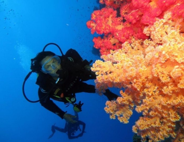 Aida Hotel Sharm El Sheikh 3 звезды, Шарм-эль-Шейх, Египет