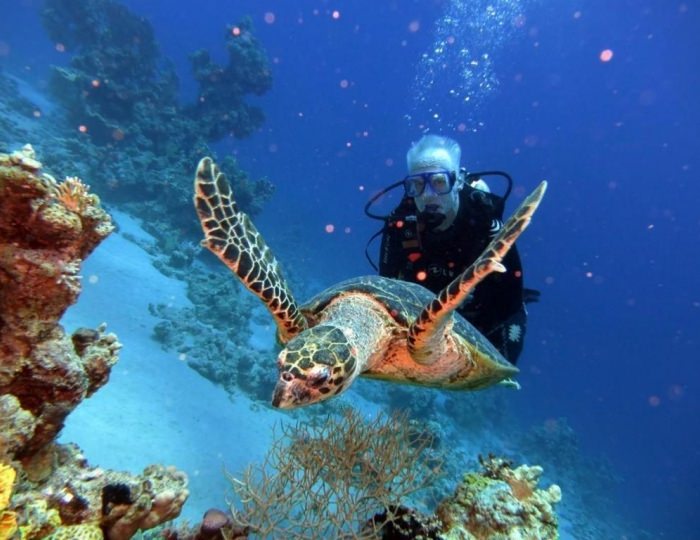 Aida Hotel Sharm El Sheikh 3 звезды, Шарм-эль-Шейх, Египет