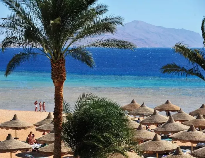 Baron Palms Resort Sharm El Sheikh (Adults Only) 5 звезд, Шарм-эль-Шейх, Египет