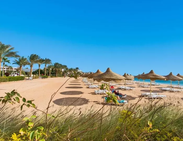 Baron Palms Resort Sharm El Sheikh (Adults Only) 5 звезд, Шарм-эль-Шейх, Египет