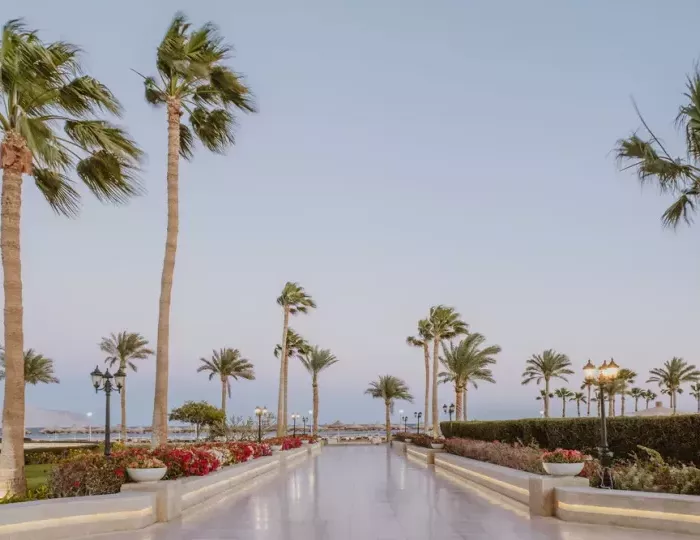 Baron Resort Sharm El Sheikh 5 звезд, Шарм-эль-Шейх, Египет