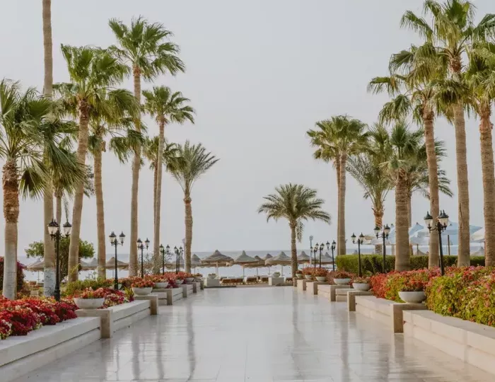 Baron Resort Sharm El Sheikh 5 звезд, Шарм-эль-Шейх, Египет