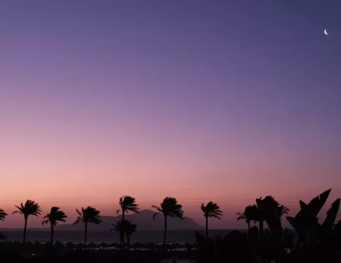 Baron Resort Sharm El Sheikh 5 звезд, Шарм-эль-Шейх, Египет