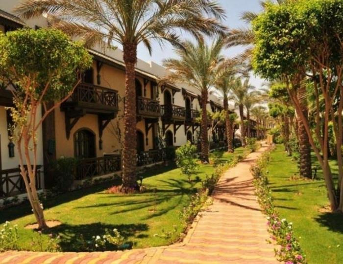 Dessole Nesco Joyous 4 звезды, Шарм-эль-Шейх, Египет