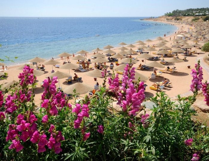 Domina Coral Bay Elisir 5 звезд, Шарм-эль-Шейх, Египет