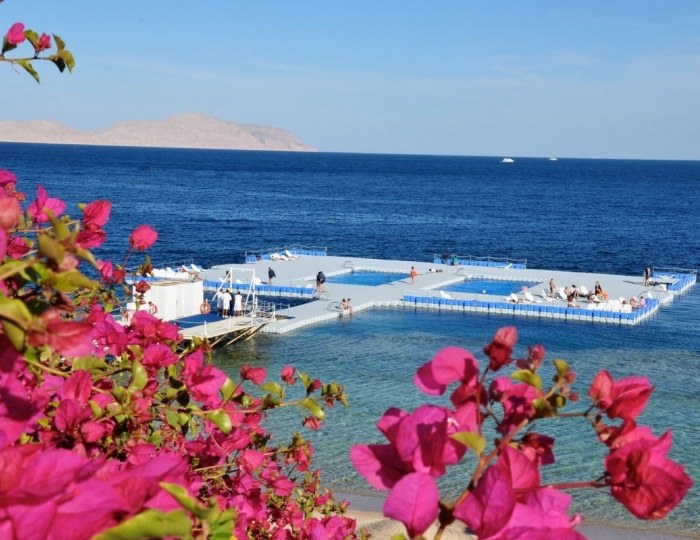 Domina Coral Bay Elisir 5 звезд, Шарм-эль-Шейх, Египет