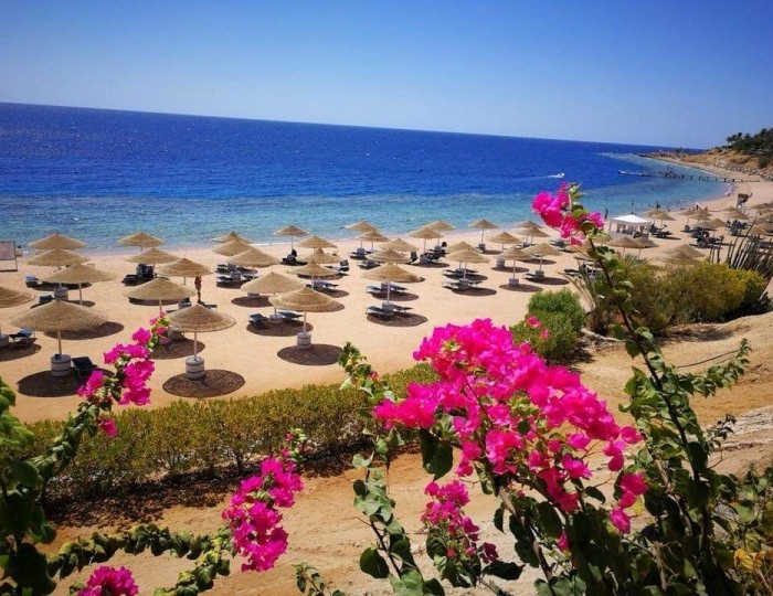 Domina Coral Bay Elisir 5 звезд, Шарм-эль-Шейх, Египет