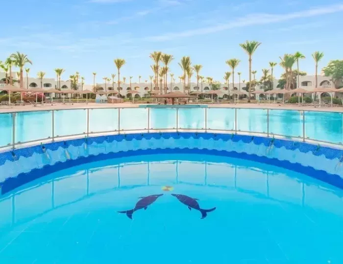 Domina Coral Bay Harem Deluxe 5 звезд, Шарм-эль-Шейх, Египет