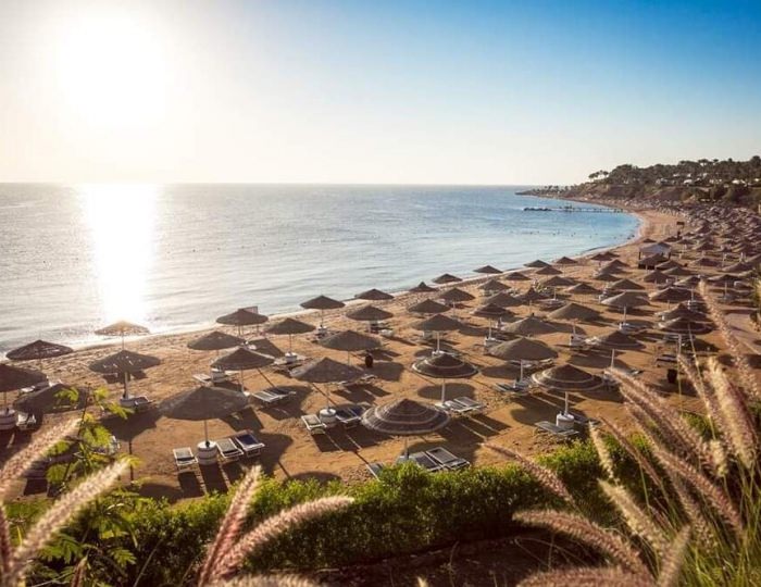 Domina Coral Bay Harem Deluxe 5 звезд, Шарм-эль-Шейх, Египет