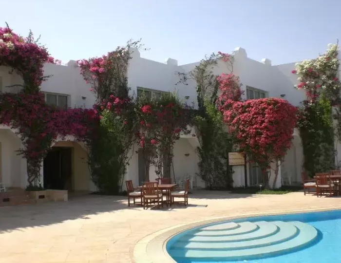 Eden Rock Hotel 3 звезды, Шарм-эль-Шейх, Египет