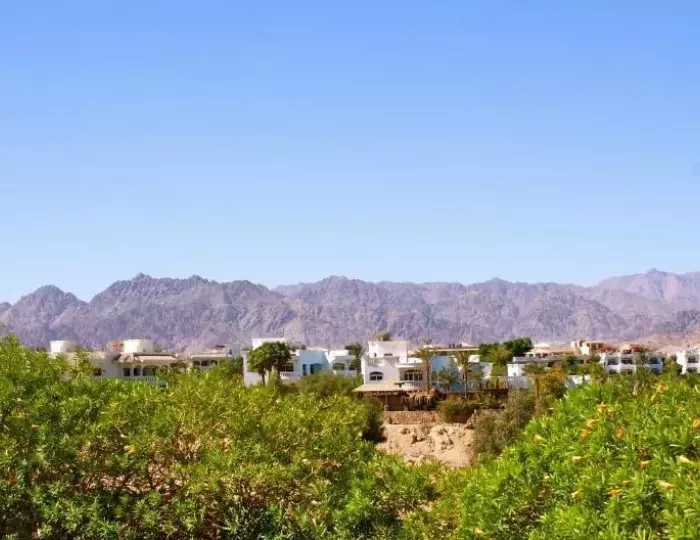 Eden Rock Hotel 3 звезды, Шарм-эль-Шейх, Египет