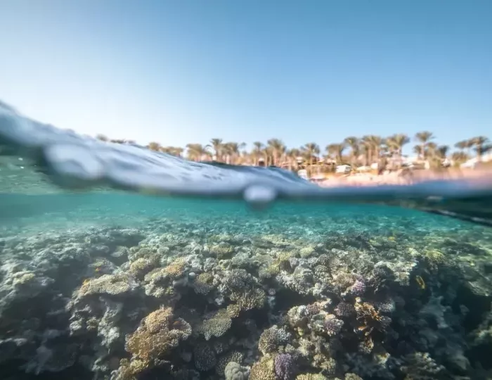 Four Seasons Resort Sharm El Sheikh 5 звезд, Шарм-эль-Шейх, Египет