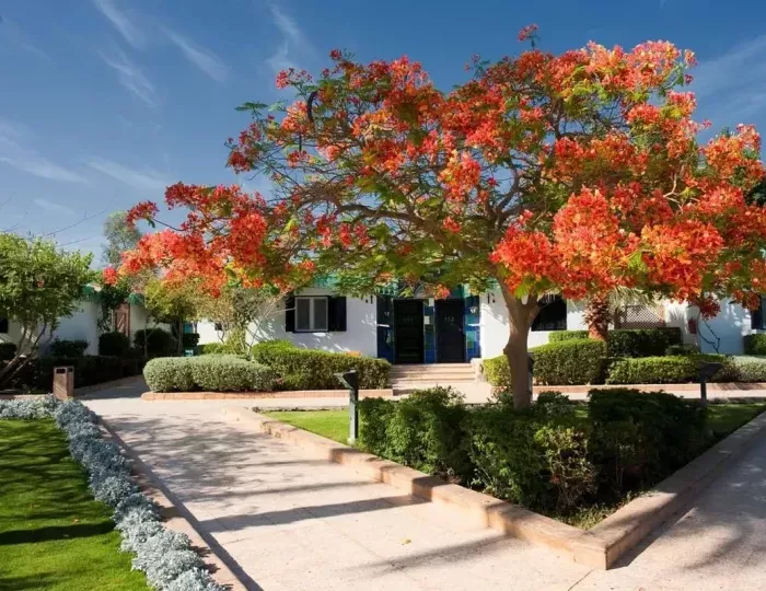 Ghazala Beach Hotel 4 звезды, Шарм-эль-Шейх, Египет