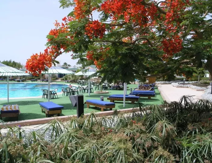 Ghazala Beach Hotel 4 звезды, Шарм-эль-Шейх, Египет