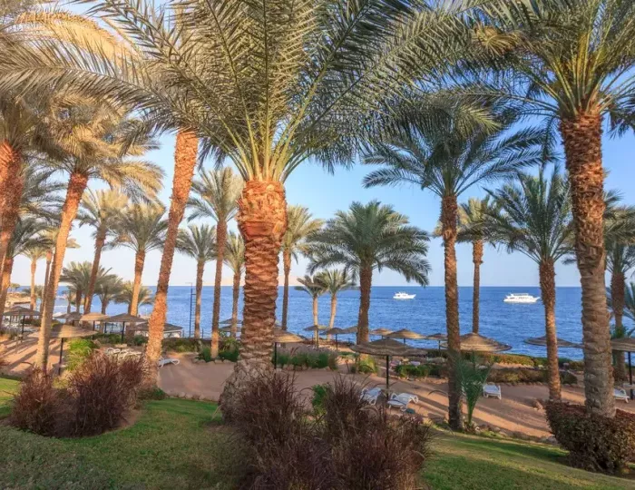 Grand Rotana Resort & Spa 5 звезд, Шарм-эль-Шейх, Египет