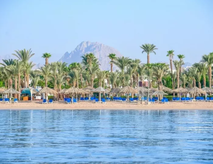 Jaz Sharm Dreams 5 звезд, Шарм-эль-Шейх, Египет