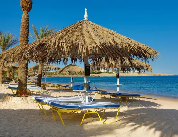 Jaz Sharm Dreams 5 звезд, Шарм-эль-Шейх, Египет