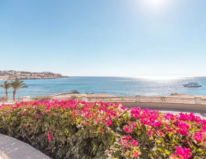 Park Regency Sharm El Sheikh Resort 5 звезд, Шарм-эль-Шейх, Египет