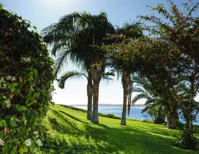 Movenpick Resort Sharm El Sheikh 4 звезды, Шарм-эль-Шейх, Египет