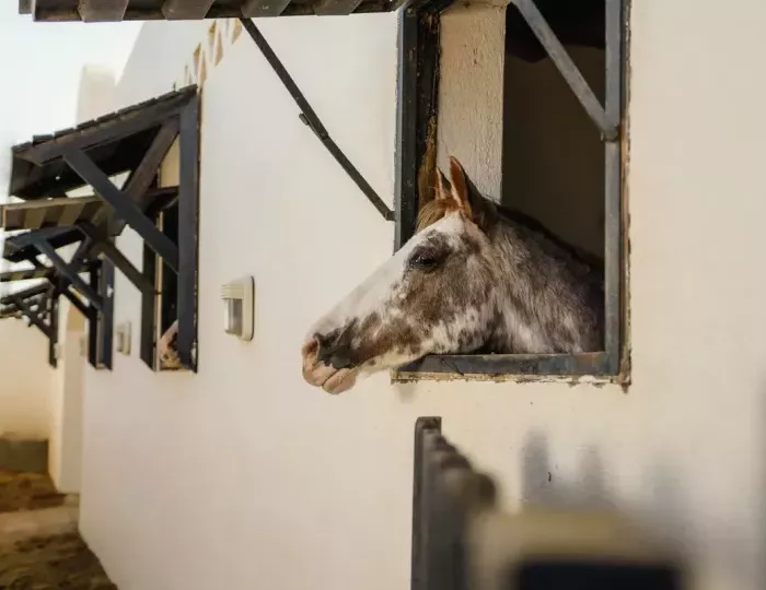 Movenpick Resort Sharm El Sheikh 4 звезды, Шарм-эль-Шейх, Египет