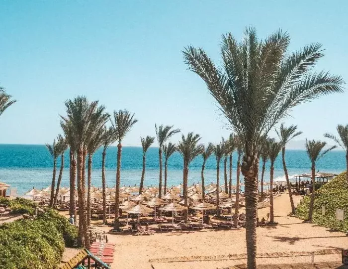 Nubian Island Hotel 5 звезд, Шарм-эль-Шейх, Египет