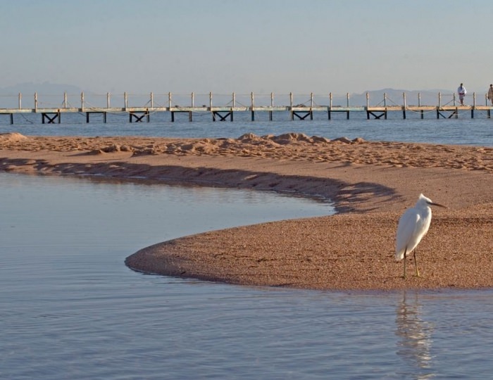 Aurora Oriental Resort Sharm El Sheikh 5 звезд, Шарм-эль-Шейх, Египет