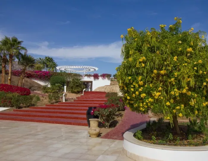 Monte Carlo Sharm Resort & Spa 5 звезд, Шарм-эль-Шейх, Египет