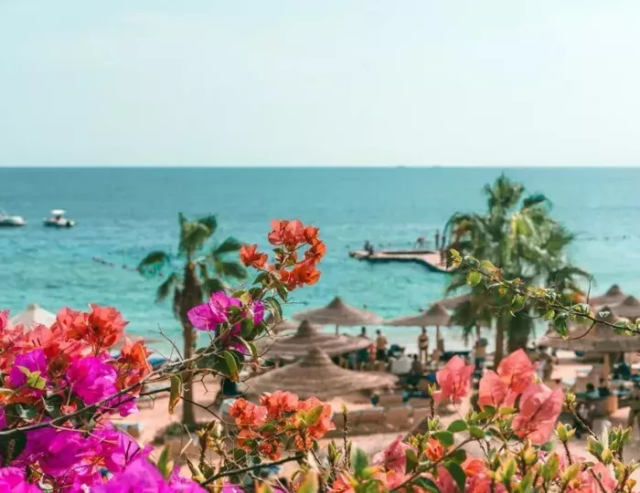 Royal Savoy 5 звезд, Шарм-эль-Шейх, Египет