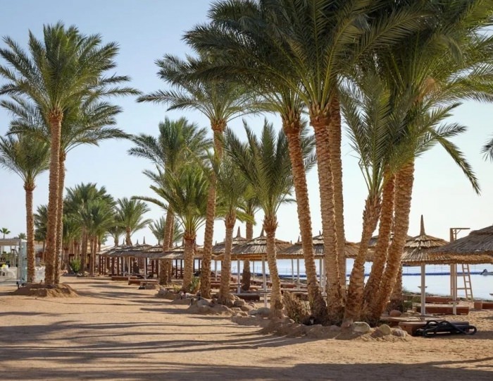 Coral Sea Sensatori Sharm El Sheikh 5 звезд, Шарм-эль-Шейх, Египет