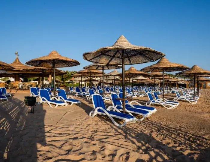 Ivy Cyrene Sharm (Adults Only) 4 звезды, Шарм-эль-Шейх, Египет