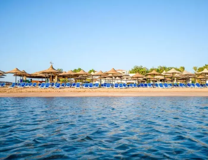 Ivy Cyrene Sharm (Adults Only) 4 звезды, Шарм-эль-Шейх, Египет