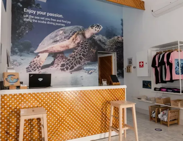 Turquoise Beach Hotel 4 звезды, Шарм-эль-Шейх, Египет