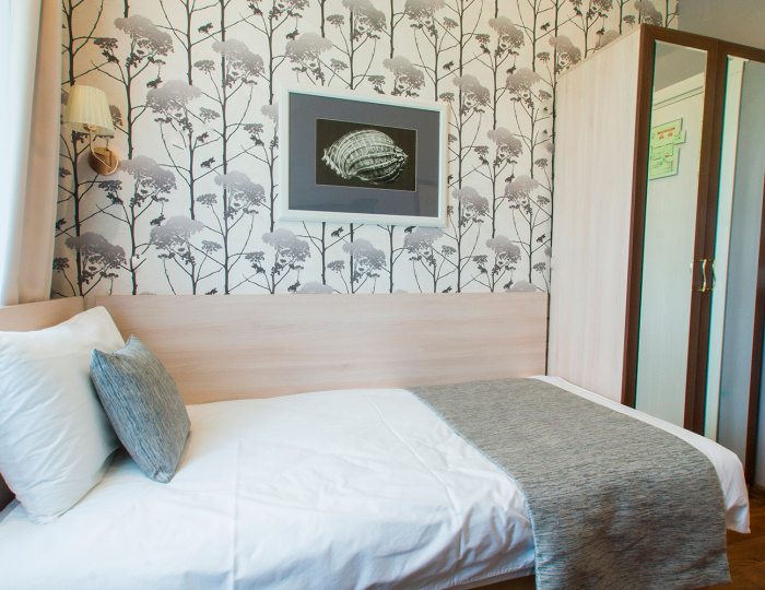 Стандарт 1-местный 1-комн. - Отель «Петрухино-клуб»