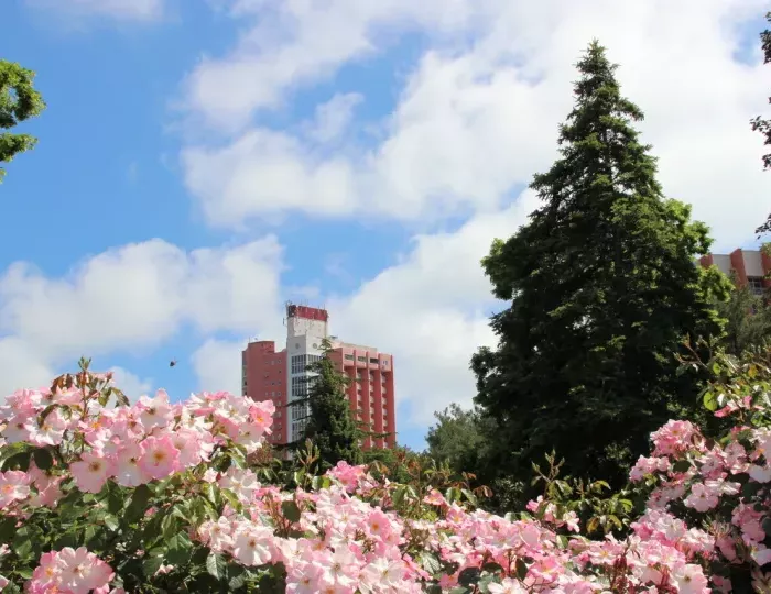 Санаторий «Голубая даль»