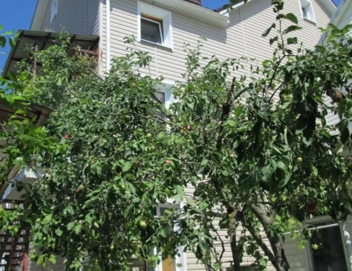 Гостевой дом «Золотой Берег» Архипо-Осиповка