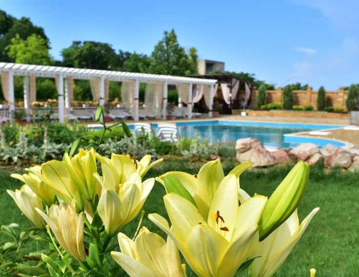 Гостиница «Озеро сновидений» Евпатория