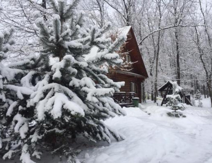 Загородный клуб «Медвежьи Озера»