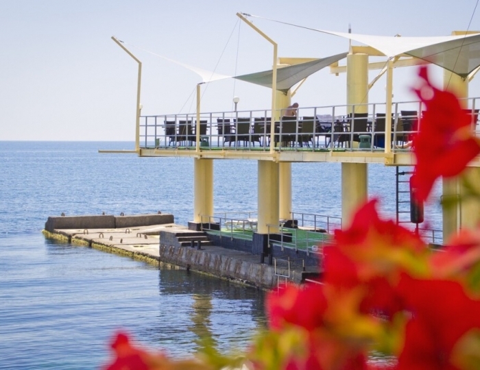 Мини-отель «Вилла Мишель» Даниловка