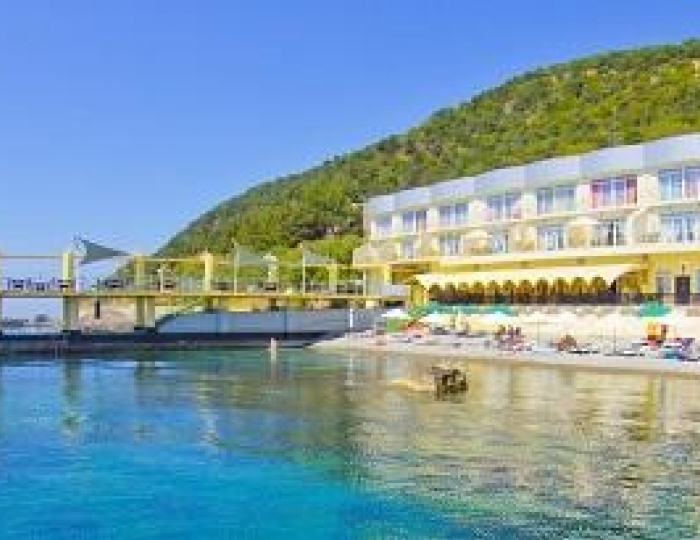 Мини-отель «Вилла Мишель» Даниловка