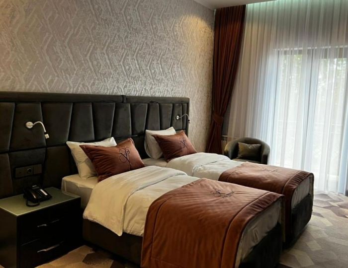 Standard 2-местный - Отель VIS Palm Hotel / ВИС Палм Гянджа Standard 2-местный - Отель VIS Palm Hotel / ВИС Палм Гянджа