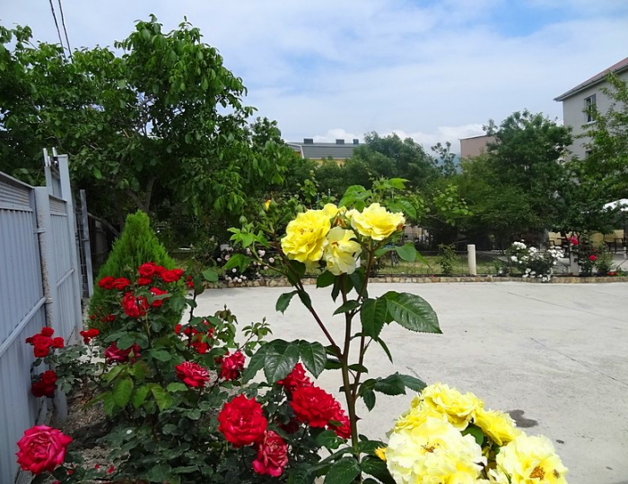 Гостевой дом «Дружба» Геленджик