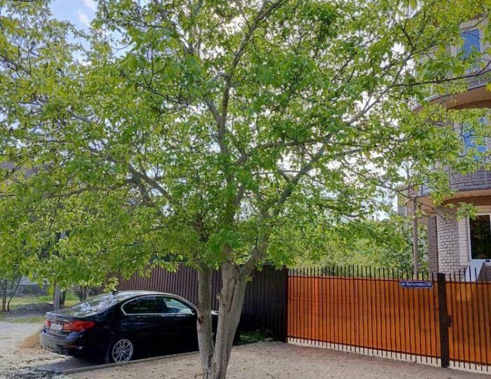 Отель «Приморский» Геленджик