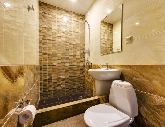 Студия 3-местный 4 этаж - Отель «Версаль» Архипо-Осиповка