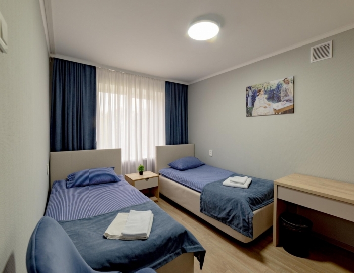 Номер эконом с 2 односпальными кроватями Мелихово - Отель «Антонпалыч» Чехов