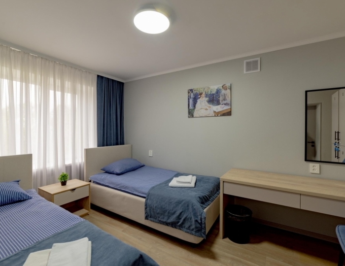 Номер эконом с 2 односпальными кроватями Мелихово - Отель «Антонпалыч» Чехов